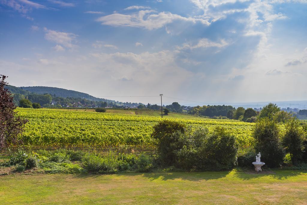 Krone Am Park - Gaestehaus Des Hotel Krone Alzenau in Unterfranken Luaran gambar